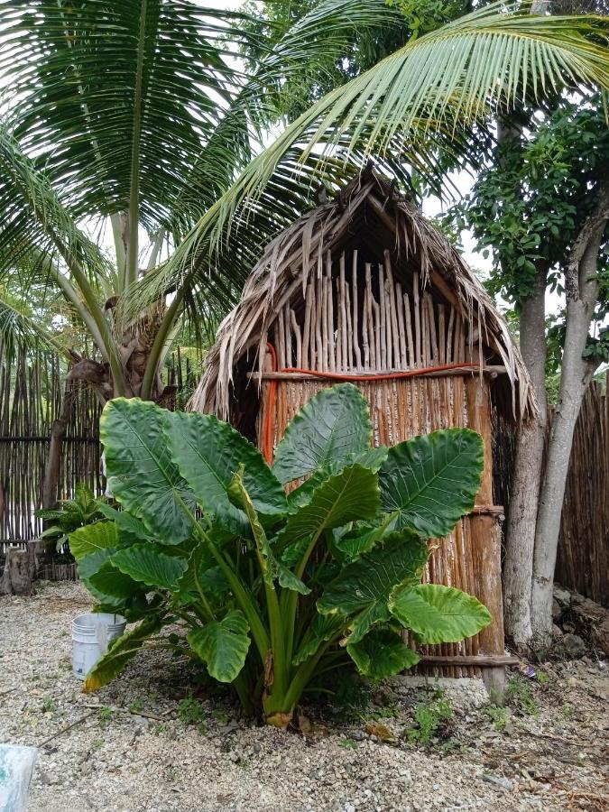 Muelle36 Hostel Bacalar Exteriör bild